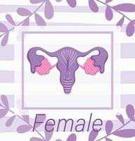 female human reproductive system, floral nature biology anatomy vector