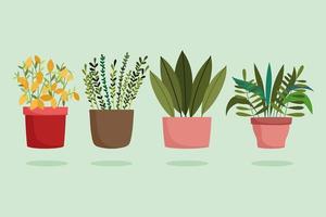 gardening, different houseplants in pots decoration vector