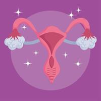 sistema reproductor humano femenino, órgano de esquema médico vector