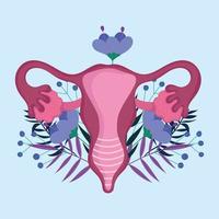 female human reproductive system, flower stylized flat vector