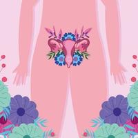 female human reproductive system, women body genitals flowers vector
