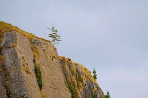 Trees in the mountain nature landscape in Bilbao Spain photo