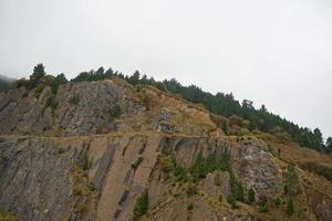 árboles en la montaña paisaje natural en bilbao españa foto