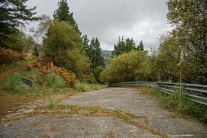 árboles en la montaña paisaje natural en bilbao españa foto