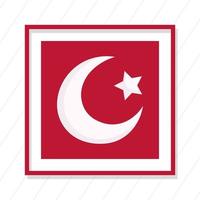 turkey republic day, square flag patriotism emblem on white lines background vector
