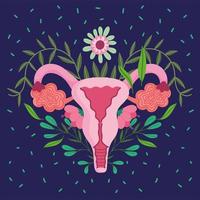 sistema reproductor humano femenino, hermosa decoración de flores de órganos vector