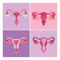 female human reproductive system, set different organs, women health concept vector