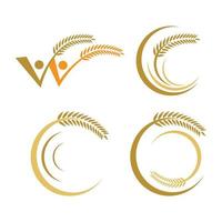 Wheat logo images vector