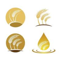 Wheat logo images vector