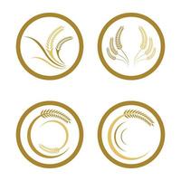 Wheat logo images vector