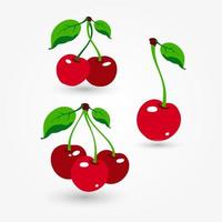 Cherry logo. Cherry berry with leaves. Isolated berries on white background. Collection of different fresh cherry berry. Vector illustration.