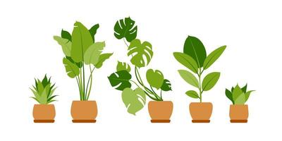 Collection home plants. Potted plants isolated on white. Vector set green tropical plants. Trendy home decor with indoor plants, planters, cacti, tropical leaves. Flat.