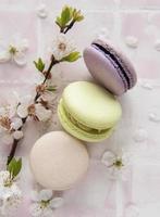 French sweet macaroons photo