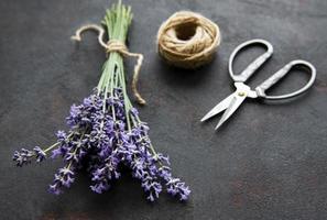 Lavender bouquet on a black background photo