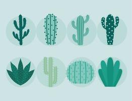 octavos artículos de cactus vector