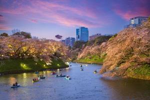 chidori ga fuchi en tokio en japón con flor de cerezo foto