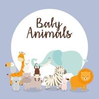 baby animals card vector
