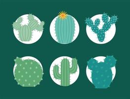 six cactus items vector