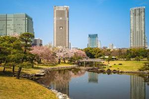 jardín hama rikyu en tokio, japón foto