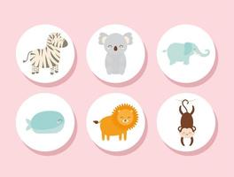 six baby animals vector