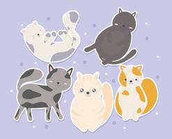 cute cats bundle vector