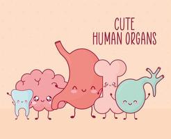 cute organs poster vector