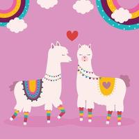 sweet llamas together vector