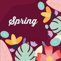 lyrics of spring and set of flowers vector