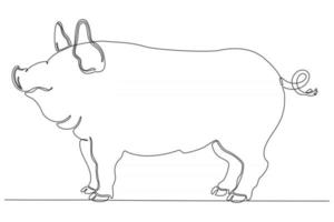 Continuous line drawing, pig vector illustration