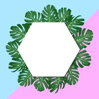 ilustración vectorial. exóticas hojas verdes tropicales monstera. banner de papel hexagonal. fondo azul y rosa vector