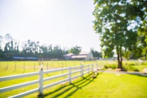 Abstract blur park with green field photo