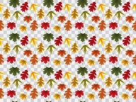 Autumn Leaves Seamless Pattern on Transparent Background Vector Illustration