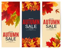 Banner de venta de hojas de otoño brillante. tarjeta de descuento comercial. ilustración vectorial vector