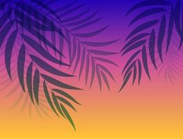 Beautifil Palm Tree Leaf  Silhouette Background Vector Illustration