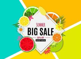 Abstract Summer Sale Background with Fresh Fruits. Vector Illustration