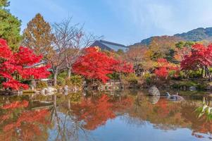 parque maruyama en kyoto, japón en otoño foto
