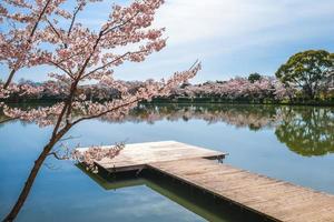 Estanque de Osawa con flor de cerezo en Arashiyama en Kioto, Japón foto