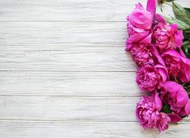 Background with peonies photo