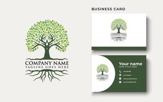 Root Of The Tree Logo Design Inspiration vector