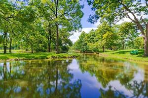 Árbol verde en un hermoso parque bajo un cielo azul con reflejo en el agua foto