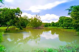 Green tree in a beautiful park under blue sky with reflection in water photo