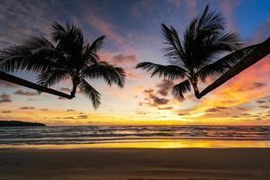 Hermosa playa tropical y mar con silueta de palmera de coco al atardecer foto