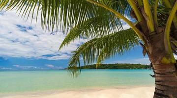 Hermosa playa tropical y mar con palmeras de coco bajo un cielo azul foto