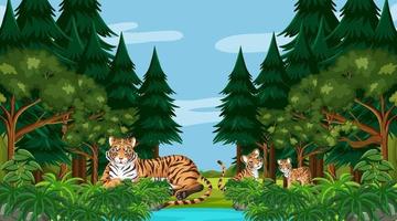 familia de tigres en el bosque o la escena de la selva tropical con muchos árboles vector