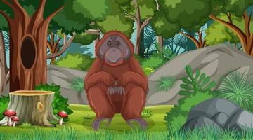 orangután en el bosque o la escena de la selva tropical con muchos árboles vector
