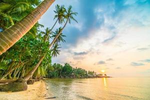 Beautiful paradise island with beach and sea around coconut palm tree