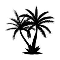 Beautiful Black and White Palm Tree Leaf Silhouette Background Vector Illustration