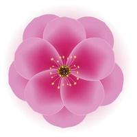 Realistic 3d Plum Flower Icon. Vector Illustration EPS10