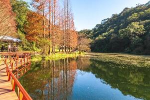 paisaje del jardín botánico fushan en yilan, taiwán foto