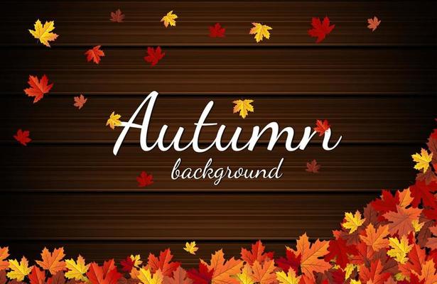 autumn maple leaf background banner